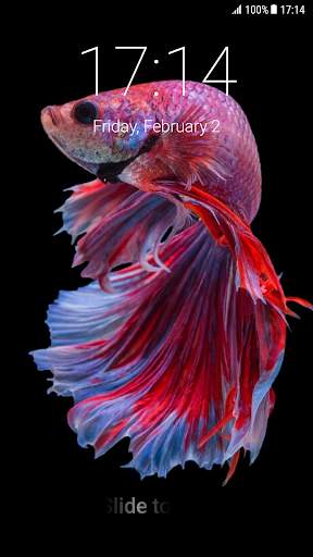 Betta Fish Pattern Lock Screen screenshot 1