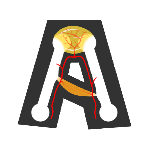 Anato - Learn Human Anatomy Free in English icon