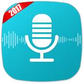 S Voice