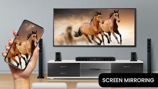 Screen Mirroring with TV-Mirror Screen screenshot 6