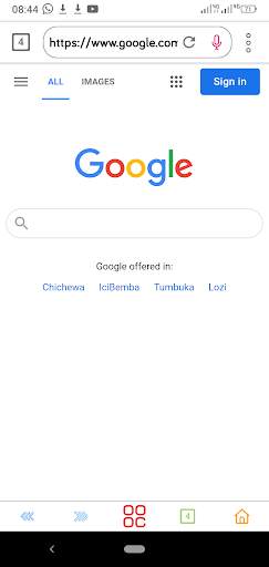 Liseli Browser screenshot 2