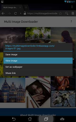 Multi image downloader screenshot 2