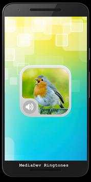 Robin Bird Sounds HD screenshot 1