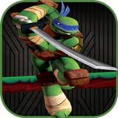turtle jumbing ninja E.1.0.0