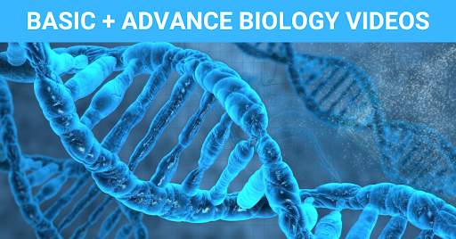 Dr. Najeeb Lectures Biology screenshot 2