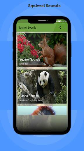 Squirrel Sounds screenshot 1
