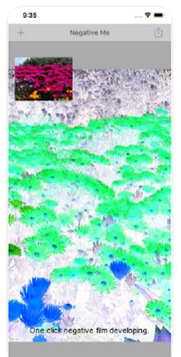 Color Negative Camera - Negative video maker LIVE screenshot 6