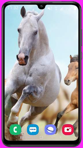 Horse Wallpaper Best HD screenshot 5