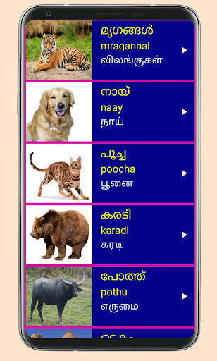 Learn Malayalam From Tamil скриншот 6