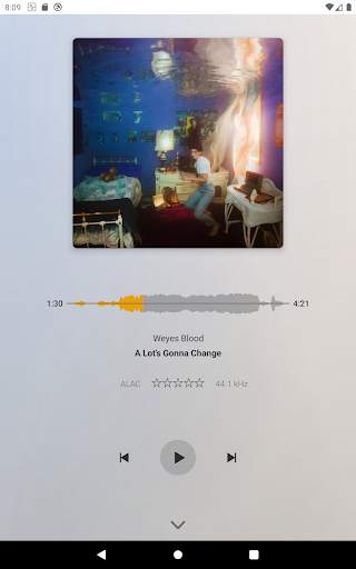 Plexamp screenshot 13