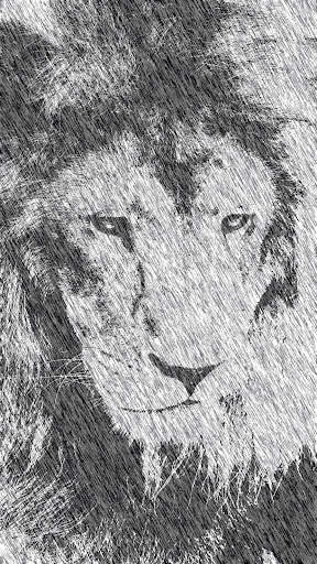 Pencil Drawing - Sketch Effect screenshot 13