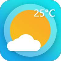 Daily Weather