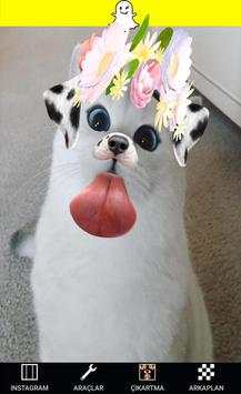 Camera snappy Cats screenshot 2