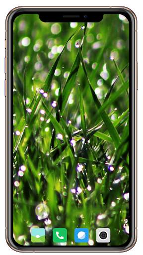 HD Grass Wallpaper screenshot 13