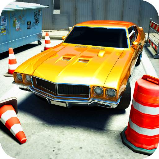 Backyard Parking 3D 1.651
