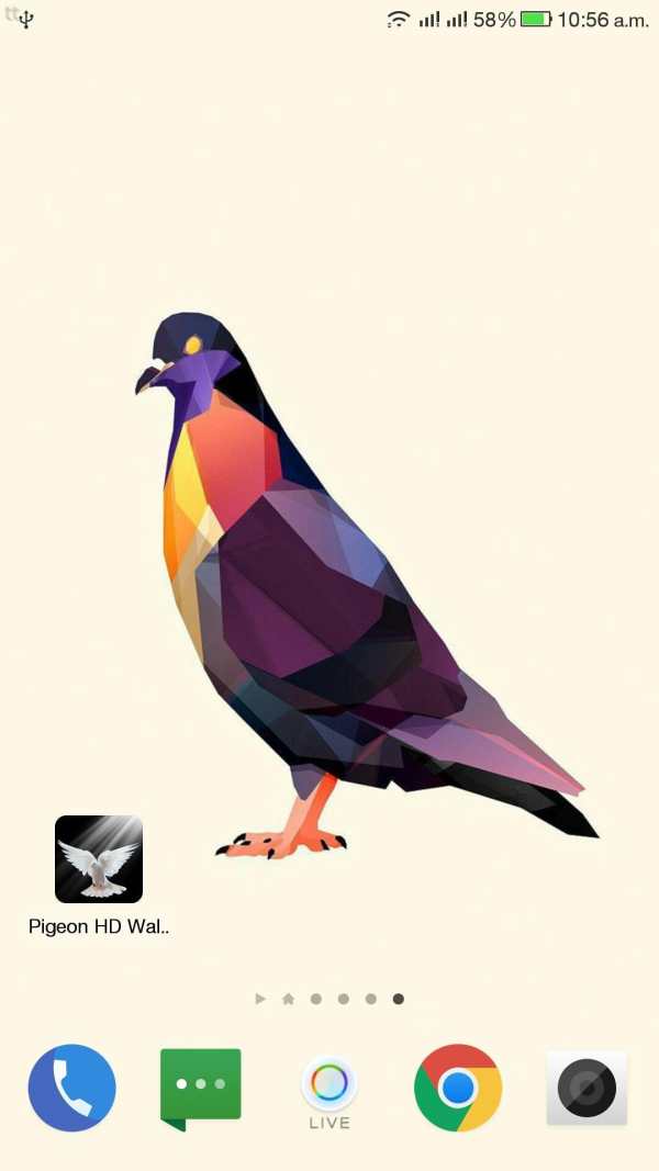 Pigeon HD Wallpaper screenshot 1