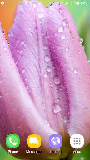 Tulips Live Wallpaper screenshot 6