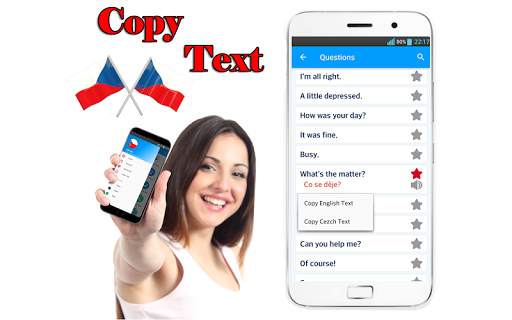 Learn Czech Language Free Offline Lite screenshot 5