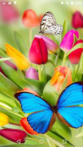Butterflies Puzzle   Wallpaper screenshot 4