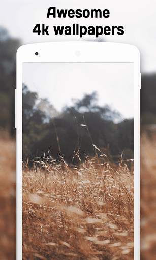 Blur Wallpaper (4k) 4 تصوير الشاشة