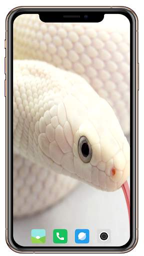 Snake Wallpaper screenshot 5