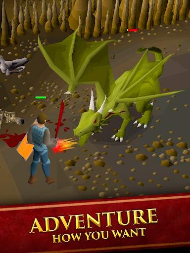 Old School RuneScape screenshot 17