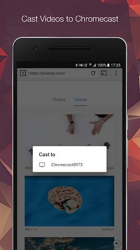 EZ Web Video Cast | Chromecast screenshot 1