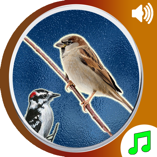 Bird Calls Sounds Ringtones icon