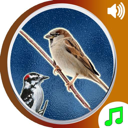 Bird Calls Sounds Ringtones 11.0