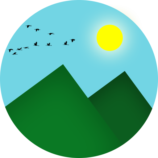 Gallery 2020 icon