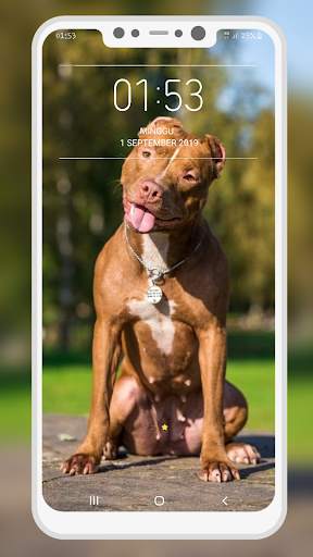Pitbull Wallpaper screenshot 3
