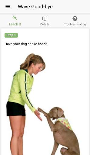 Advanced Dog Training screenshot 1