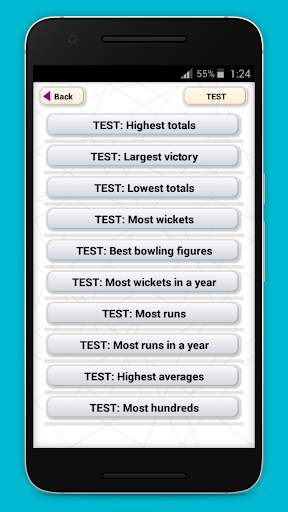Cricket Record screenshot 1
