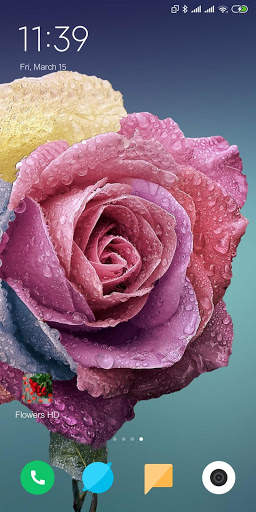 Flowers HD Wallpaper screenshot 2