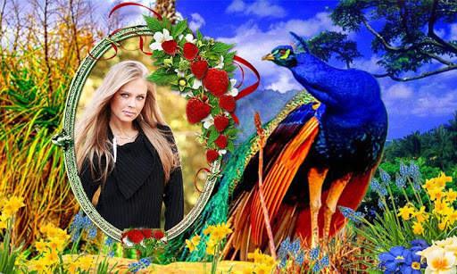 Peacock Photo Frames HD screenshot 9
