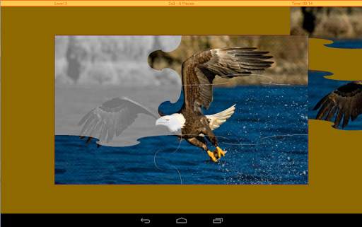 Birds Puzzle स्क्रीनशॉट 12
