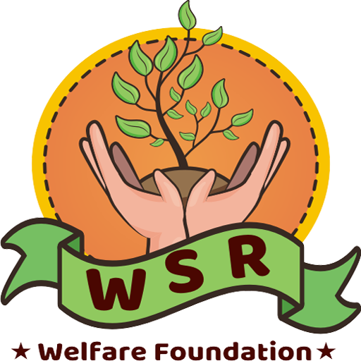 WSR System PLAN B icon
