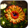 Flowers Clock Live Wallpaper icon