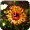 Flowers Clock Live Wallpaper 1.0