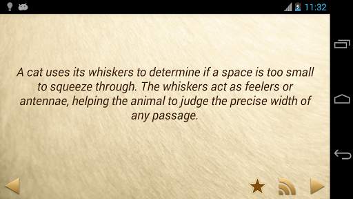 Amazing Animal Facts OFFLINE screenshot 2