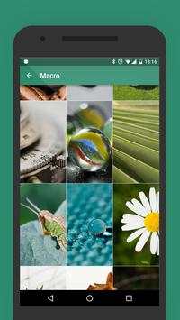 Wallpapers for Whatsapp & Co screenshot 4