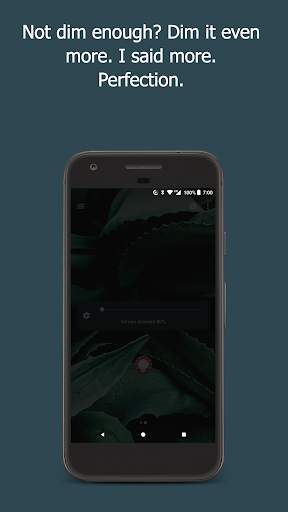 DigiLux: Fingerprint Gestures for Phone Brightness screenshot 5