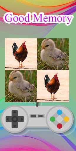 Hen matching game screenshot 5