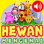 Belajar Nama Hewan on 9Apps