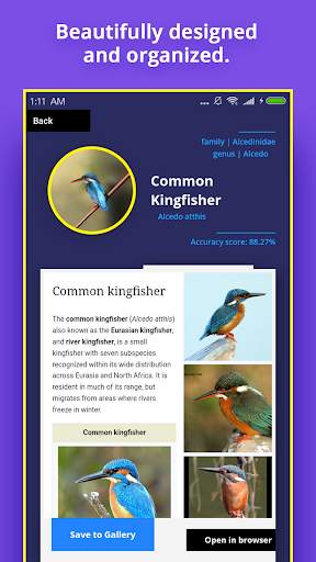 Bird Identifier screenshot 5