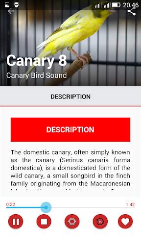 Canary Birds Master скриншот 4