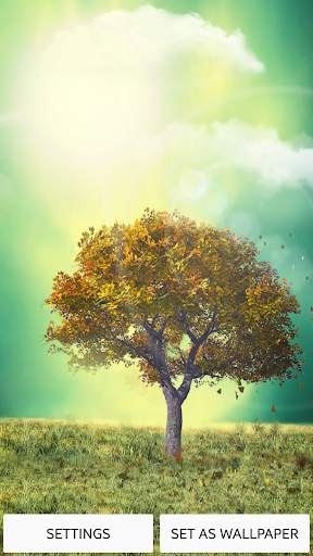 Nature Live Wallpaper screenshot 1