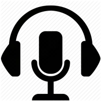 Voice Search