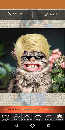 Face Changer screenshot 6