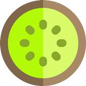 Kiwi Browser Lite & Fast Internet with VPN 1.0